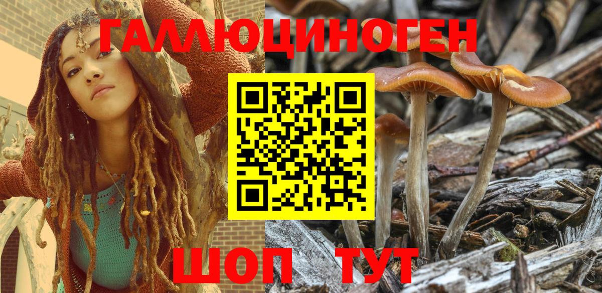Псилоцибиновые грибы Psilocybe  Вход с VPN  что такое наркотик  Галлюциногенные грибы MAGIC MUSHROOMS  Новокуйбышевск 